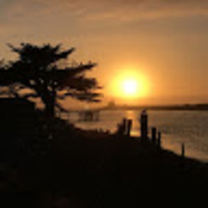 Meet your Posher, Desiree